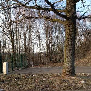 GRATIS PORNOS SEHEN GEILE SEXTREFFEN Nrw Parkplatz Sex Finger In Die Muschi